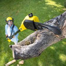 Best Lawn Maintenance Plans  in Calverton, NY