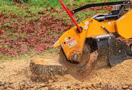 Leaf Removal in Calverton, NY